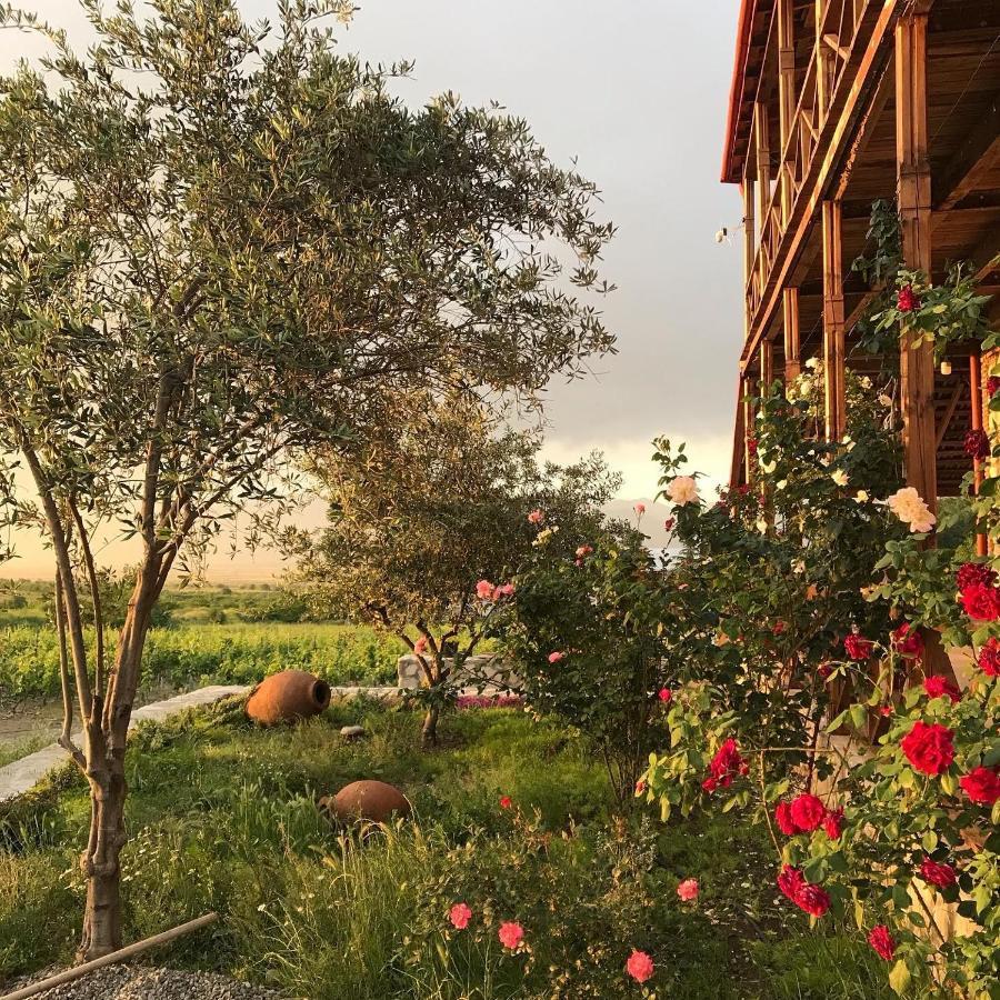 Villa Elizbar Talakvadze Winery Kardanakhi Esterno foto